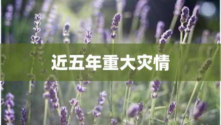 近五年重大灾情