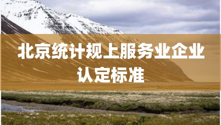 北京统计规上服务业企业认定标准