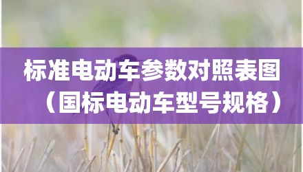 标准电动车参数对照表图（国标电动车型号规格）