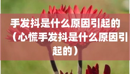 手发抖是什么原因引起的（心慌手发抖是什么原因引起的）