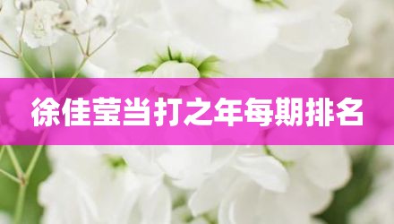 徐佳莹当打之年每期排名