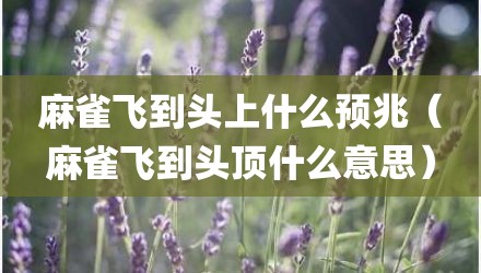 麻雀飞到头上什么预兆（麻雀飞到头顶什么意思）