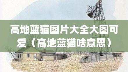高地蓝猫图片大全大图可爱(高地蓝猫啥意思)