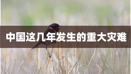 中国这几年发生的重大灾难