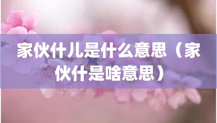 家伙什儿是什么意思（家伙什是啥意思）