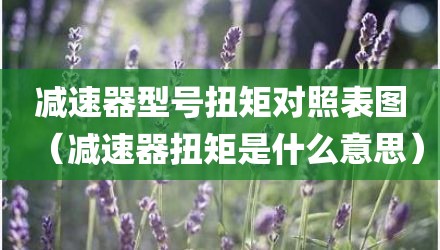 减速器型号扭矩对照表图（减速器扭矩是什么意思）
