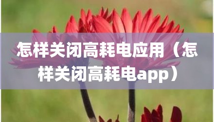 怎样关闭高耗电应用（怎样关闭高耗电app）