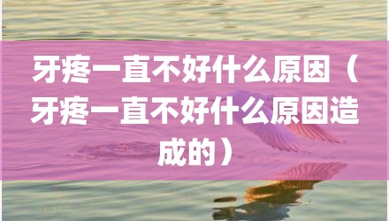 牙疼一直不好什么原因（牙疼一直不好什么原因造成的）