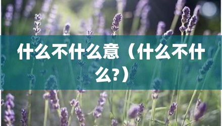 什么不什么意（什么不什么?）