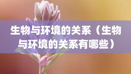 生物与环境的关系（生物与环境的关系有哪些）