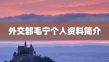 外交部毛宁个人资料简介