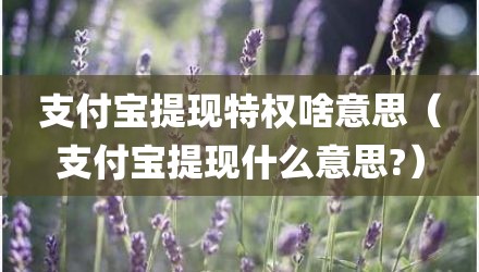 支付宝提现特权啥意思（支付宝提现什么意思?）