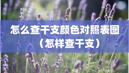 怎么查干支颜色对照表图（怎样查干支）
