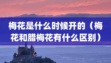 梅花是什么时候开的（梅花和腊梅花有什么区别）