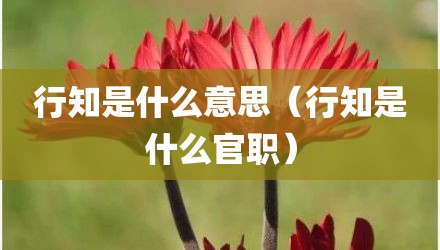 行知是什么意思（行知是什么官职）