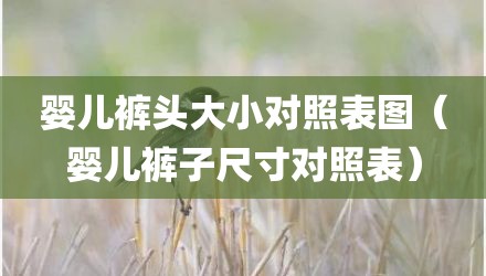 婴儿裤头大小对照表图（婴儿裤子尺寸对照表）