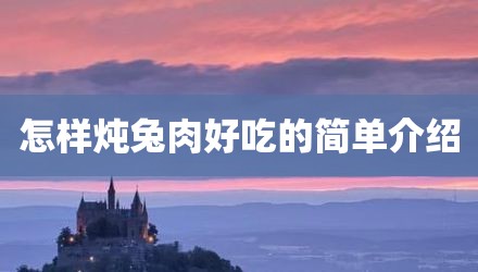 怎样炖兔肉好吃的简单介绍