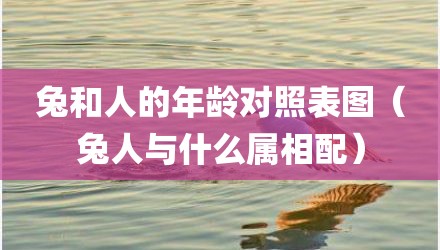兔和人的年龄对照表图（兔人与什么属相配）