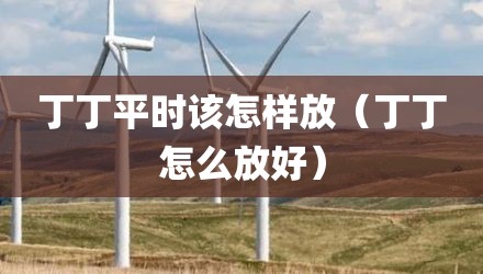 丁丁平时该怎样放（丁丁怎么放好）