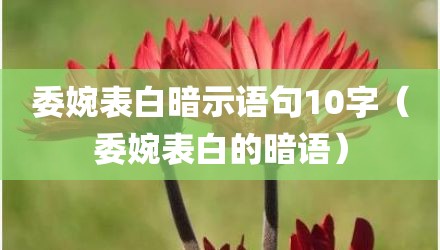 委婉表白暗示语句10字（委婉表白的暗语）