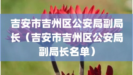 吉安市吉州区公安局副局长（吉安市吉州区公安局副局长名单）