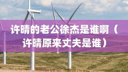 许晴的老公徐杰是谁啊(许晴原来丈夫是谁)