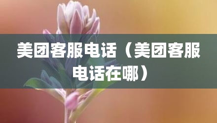 美团客服电话（美团客服电话在哪）