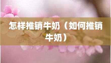 怎样推销牛奶(如何推销牛奶)