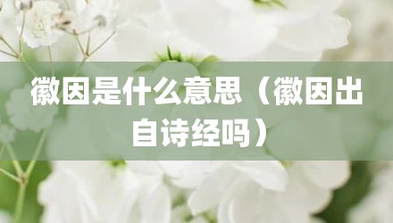 徽因是什么意思（徽因出自诗经吗）