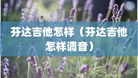 芬达吉他怎样（芬达吉他怎样调音）