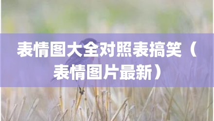 表情图大全对照表搞笑（表情图片最新）
