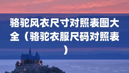 骆驼风衣尺寸对照表图大全（骆驼衣服尺码对照表）