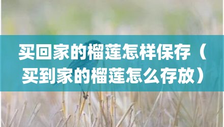 买回家的榴莲怎样保存（买到家的榴莲怎么存放）