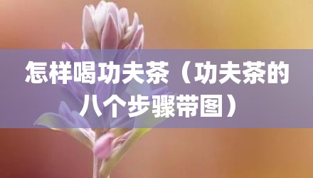 怎样喝功夫茶（功夫茶的八个步骤带图）