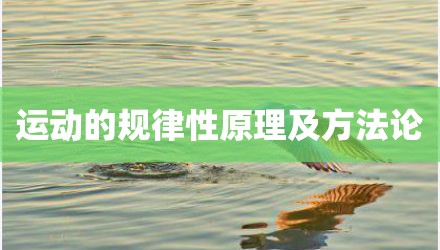 运动的规律性原理及方法论