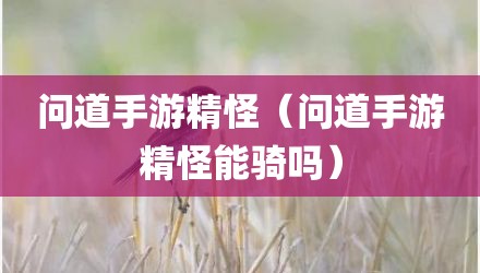 问道手游精怪（问道手游精怪能骑吗）