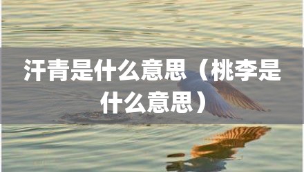 汗青是什么意思（桃李是什么意思）