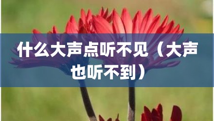 什么大声点听不见(大声也听不到)