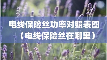 电线保险丝功率对照表图(电线保险丝在哪里)