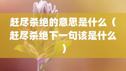 赶尽杀绝的意思是什么（赶尽杀绝下一句该是什么）