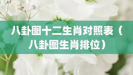 八卦图十二生肖对照表（八卦图生肖排位）