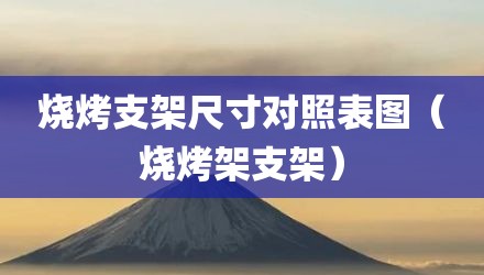 烧烤支架尺寸对照表图（烧烤架支架）