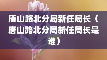 唐山路北分局新任局长（唐山路北分局新任局长是谁）