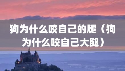 狗为什么咬自己的腿（狗为什么咬自己大腿）