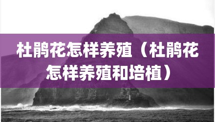 杜鹃花怎样养殖(杜鹃花怎样养殖和培植)