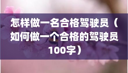 怎样做一名合格驾驶员（如何做一个合格的驾驶员100字）