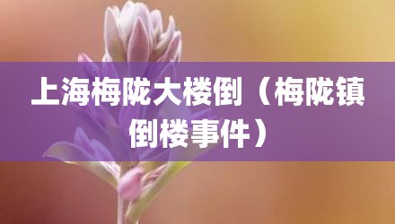 上海梅陇大楼倒（梅陇镇倒楼事件）