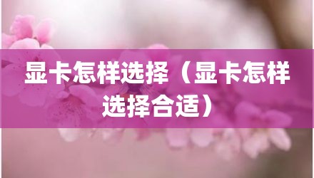 显卡怎样选择（显卡怎样选择合适）