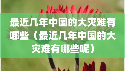 最近几年中国的大灾难有哪些（最近几年中国的大灾难有哪些呢）