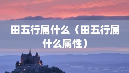 田五行属什么(田五行属什么属性)